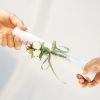 「自分のビジネスを持つ」とは、本当の意味での資産を増やし、それを維持することを意味している。